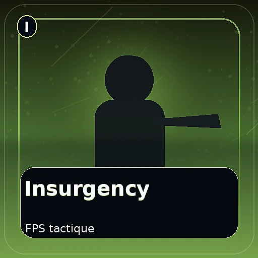 Insurgency